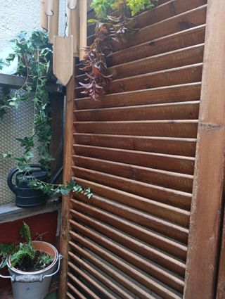 2 Puertas mallorquinas antiguas madera maciza.