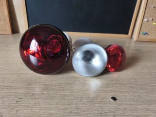 Bombilla para incubadora/pollos