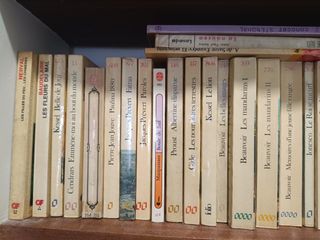 Lote libros lectura en francés. Varios.