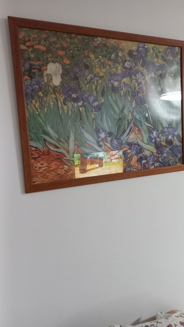 Cuadro de flores de Van Gogh