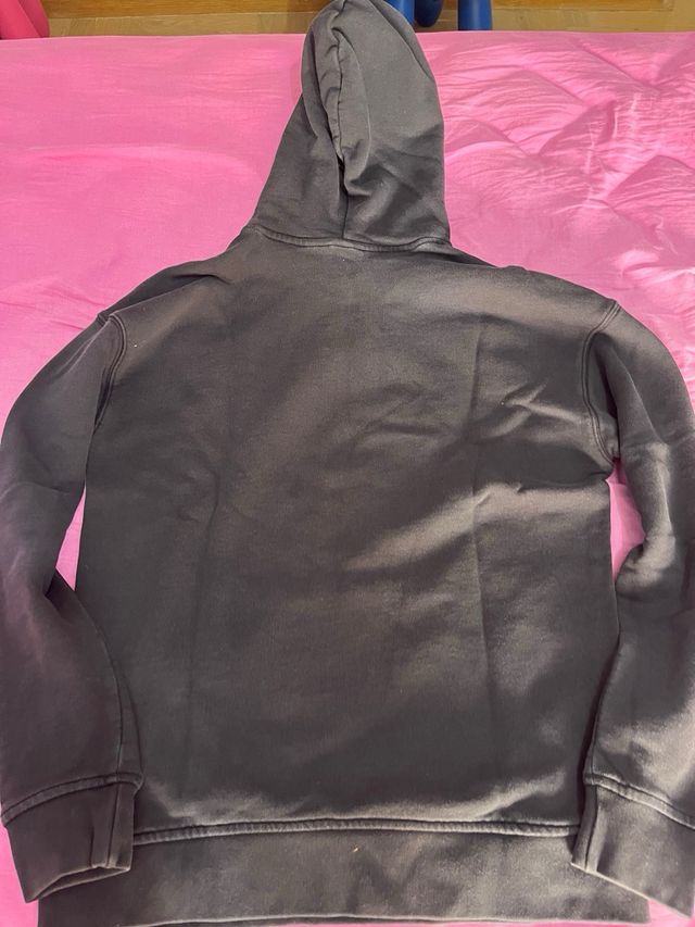 Sudadera Adidas Gris con Logo y capucha