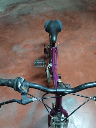 Bicicleta infantil morada