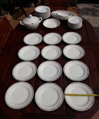 Vajilla Porcelana Royal China Vigo 43 Piezas