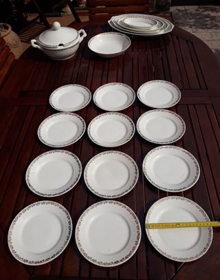 Vajilla Porcelana Royal China Vigo 43 Piezas
