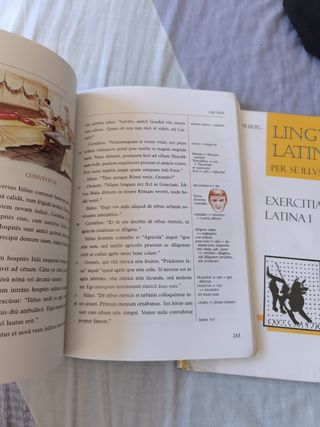 Lingua latina per se illustrata : familia romana