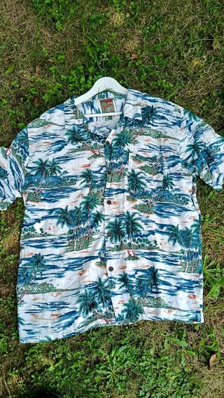 Camisa Hawaiana Estampada Palmeras