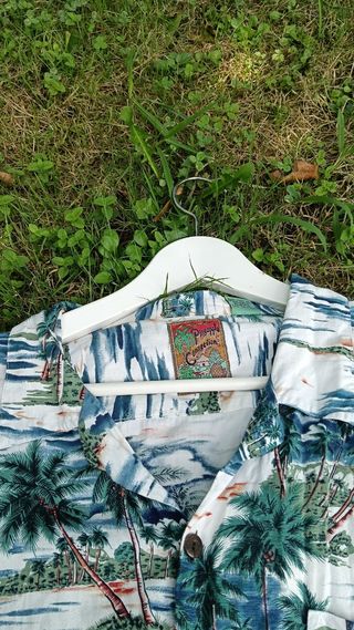Camisa Hawaiana Estampada Palmeras