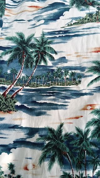 Camisa Hawaiana Estampada Palmeras