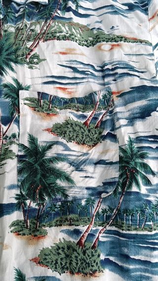 Camisa Hawaiana Estampada Palmeras