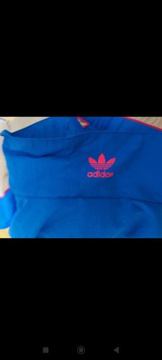 Chandal Adidas Azul