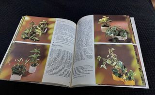 Libro 350 plantas de interior