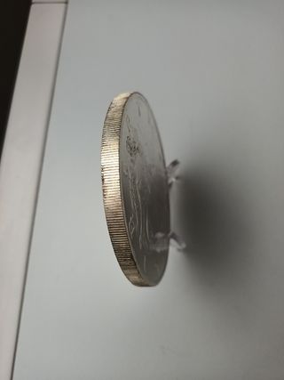 Medalla Plata Pura 376'1 gramos