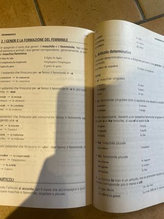 Dizionario flexi. Spagnolo-italiano, italiano-s...