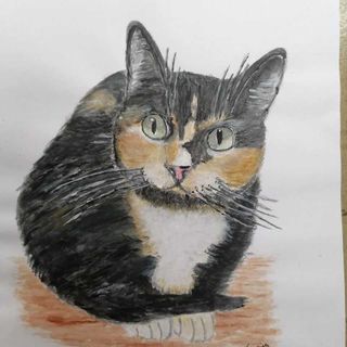 Retrato personalizado de seu pet