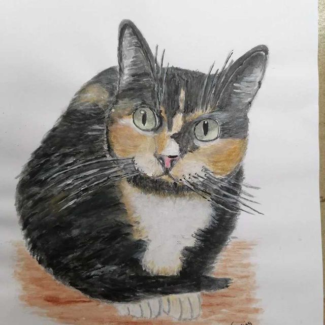 Retrato personalizado de seu pet