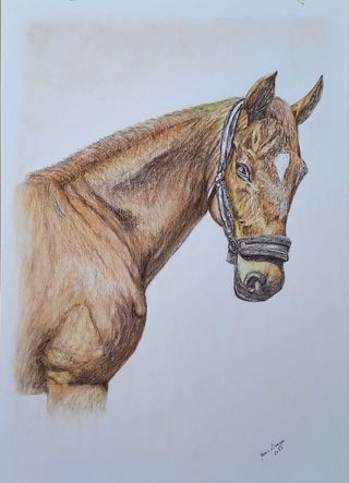 Retrato personalizado de seu pet