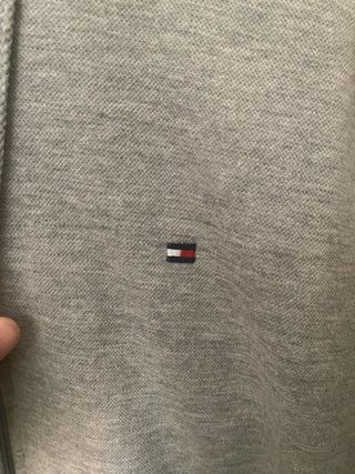 Chándal Tommy Hilfiger Gris