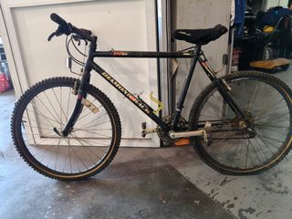 Bicicleta de Montaña