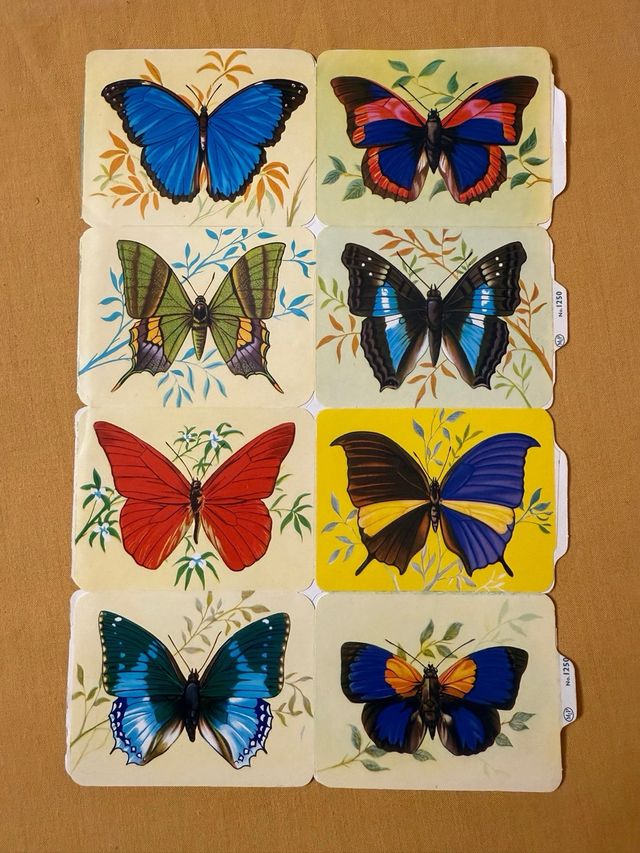 Cromos antiguos MLP Inglaterra