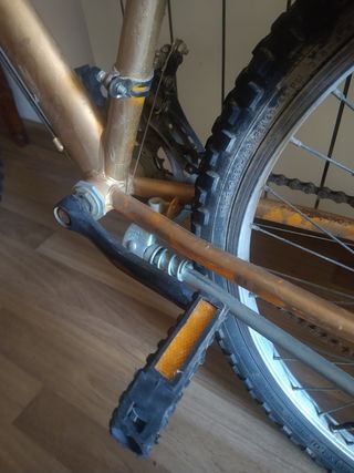 Bicicleta todo andar.