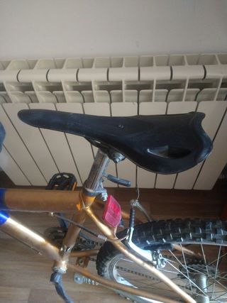 Bicicleta todo andar.