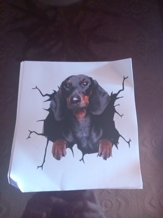 Pegatinas para coche perro