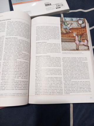 I colori della letteratura. Ediz. nuovo esame d...