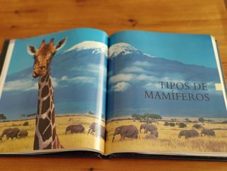 Enciclopedia de los animales.
