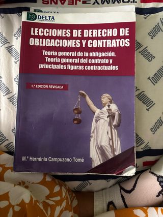 LECCIONES DE DERECHO DE OBLIGACIONES Y CONTRATOS