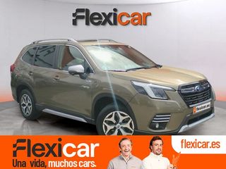 Subaru Forester 2.0i Hybrid CVT Executive Plus