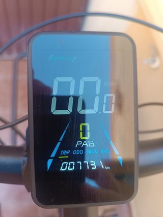 Bicicleta Eléctrica Fat Bike Negra Biwbik