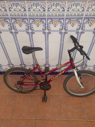 Bicicleta infantil rosa oscuro