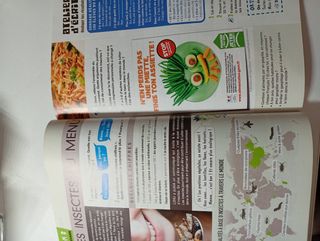 woorbook y study de francés