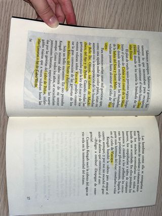 Historia de una gaviota