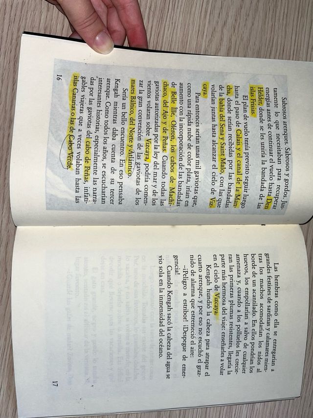 Historia de una gaviota