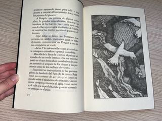 Historia de una gaviota