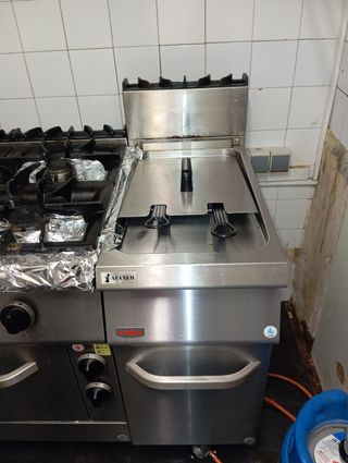 Freidora industrial a gas 19L