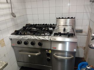 Freidora industrial a gas 19L