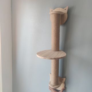 Estantes de escaladas.