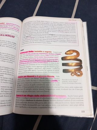 Moenia Mundi. Cultura E Letteratura Latina Perc...
