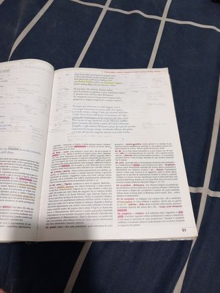 Moenia Mundi. Cultura E Letteratura Latina Perc...