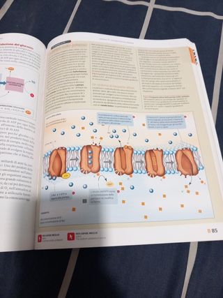 Il carbonio, gli enzimi, il DNA. Chimica organi...