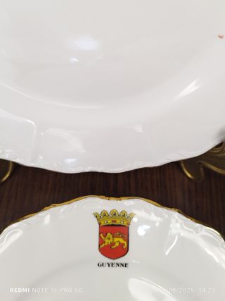 PLATOS REGIONES FRANCESAS PORCELANA VINTAGE