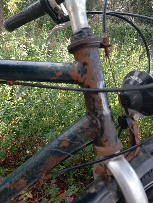 Bicicleta Urbana Patagonia 28”