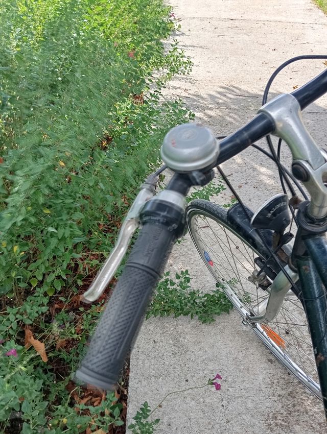 Bicicleta Urbana Patagonia 28”