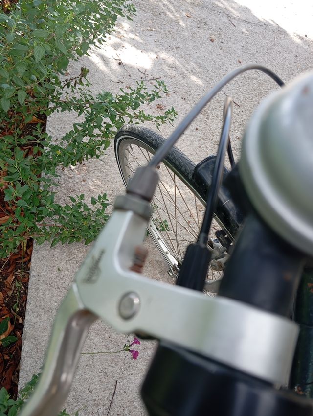 Bicicleta Urbana Patagonia 28”