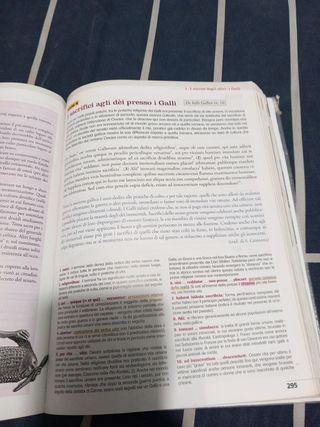 Moenia Mundi. Cultura E Letteratura Latina Perc...