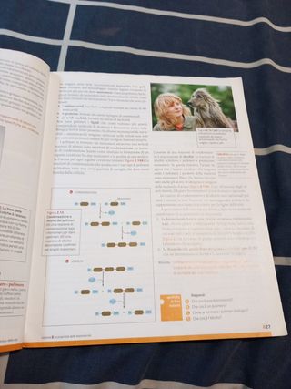 Isbn 8788808821218