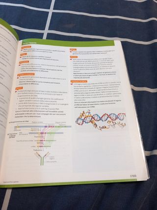 Isbn 9788808537751