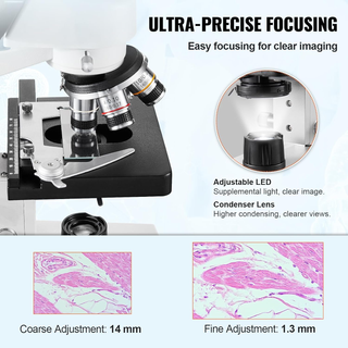 Microscopio Ottico Trinoculare Microscopio Ingrand